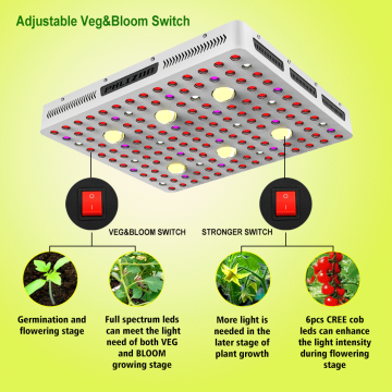 EU Stock 600W COB Cree LED-Leuchte