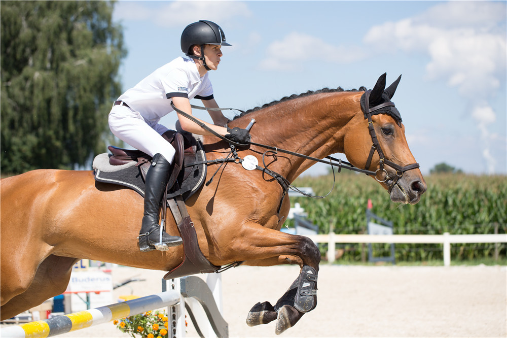 HEBEI HONDE HORSE RANCH