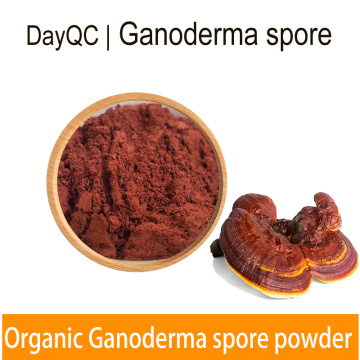 Organic reishi mushroom powder Bulk Reishi Extract