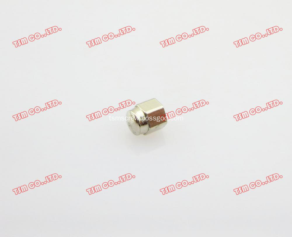 TSM silver Hex Cap Nut-2