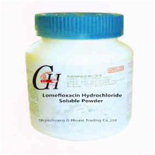 Lomefloxacin Hydrochlorid Lösliches Pulver