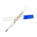 Medical Mercury Decorative Glass Thermometer