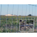 High Quality Field Fence