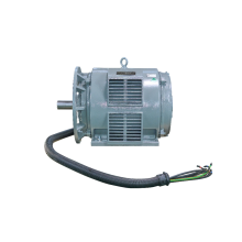 Motor du compresseur de la série YE2 IP23