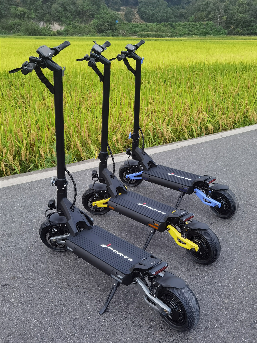 Offroad electric scooter (9) Offroad electric scooter (9)