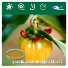 Best price hydroxy citric acid garcinia cambogia extract