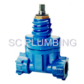 Resilient Seated Gate Valve Screwed Ends (DIN3352 Part 4)