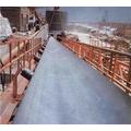 Laceration Resistant Type Conveyor Belt