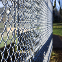 Galvanzied Chain Link Fence