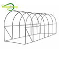 Green PE cover garden mini greenhouse