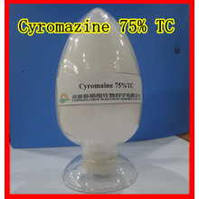 Cyromazin (20% wp, 75% WP, 99% TECH)