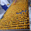 Mandarina amarilla dulce del bebé con el embalaje del cartón