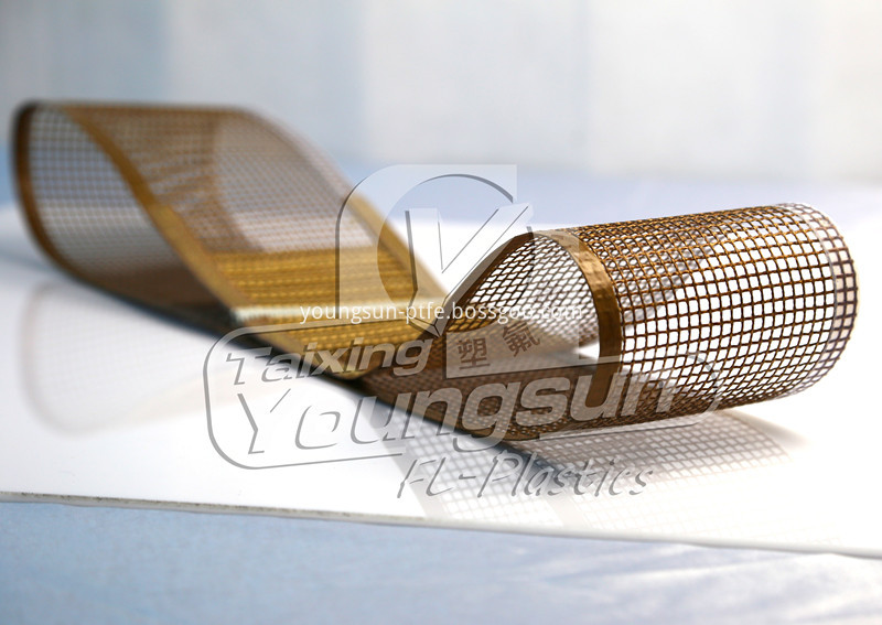 PTFE mesh conveyor belt