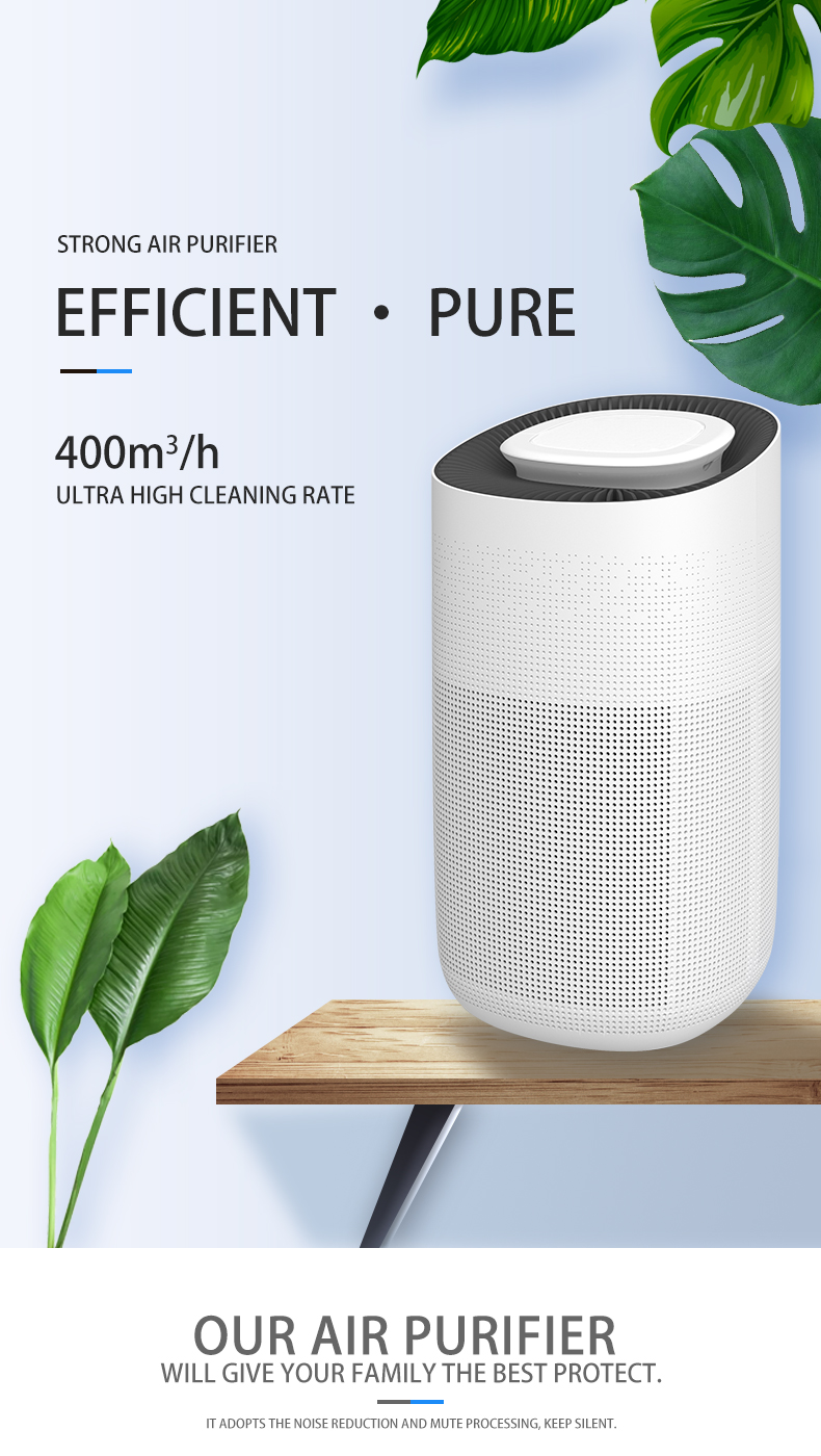 Auto Air Purifier