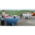 Hot Tub Heater Bad BBQ Outdoor Hot Tub SPA Niederländisch Tubs