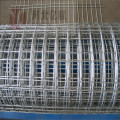 galvanized iron welded wire mesh for fence