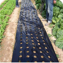 PE Mulching Film with Hole