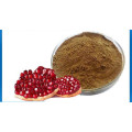 granatum punica granatum extract punica granatum plant