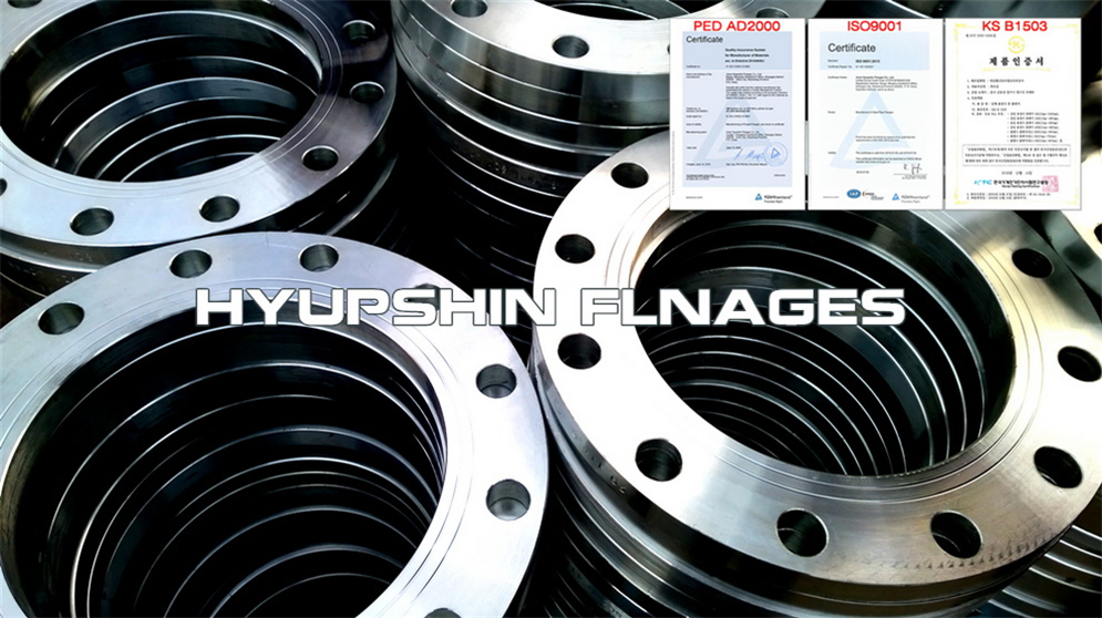 Hyupshin Flanges Flat Plate Flanges Plff Carbon Steel Forged