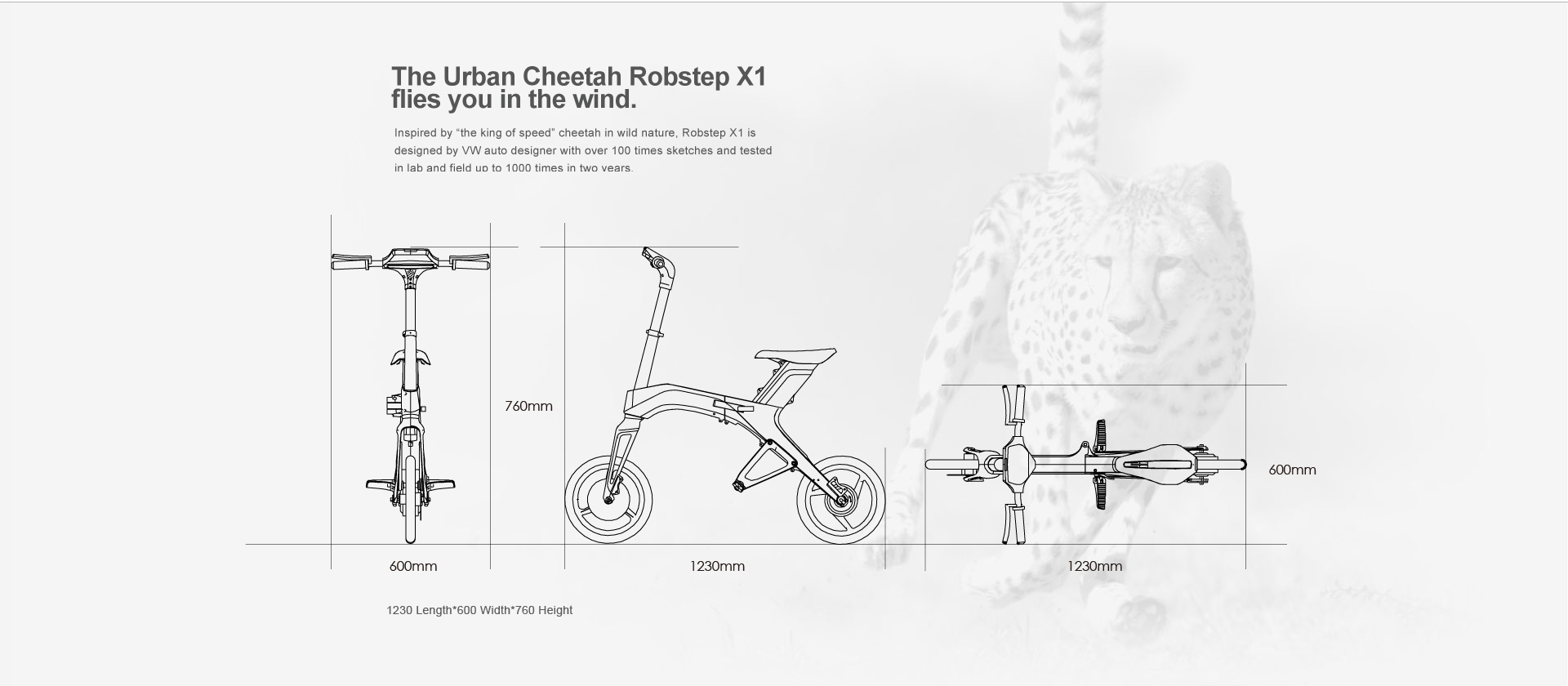 Robstep x1 electric bike