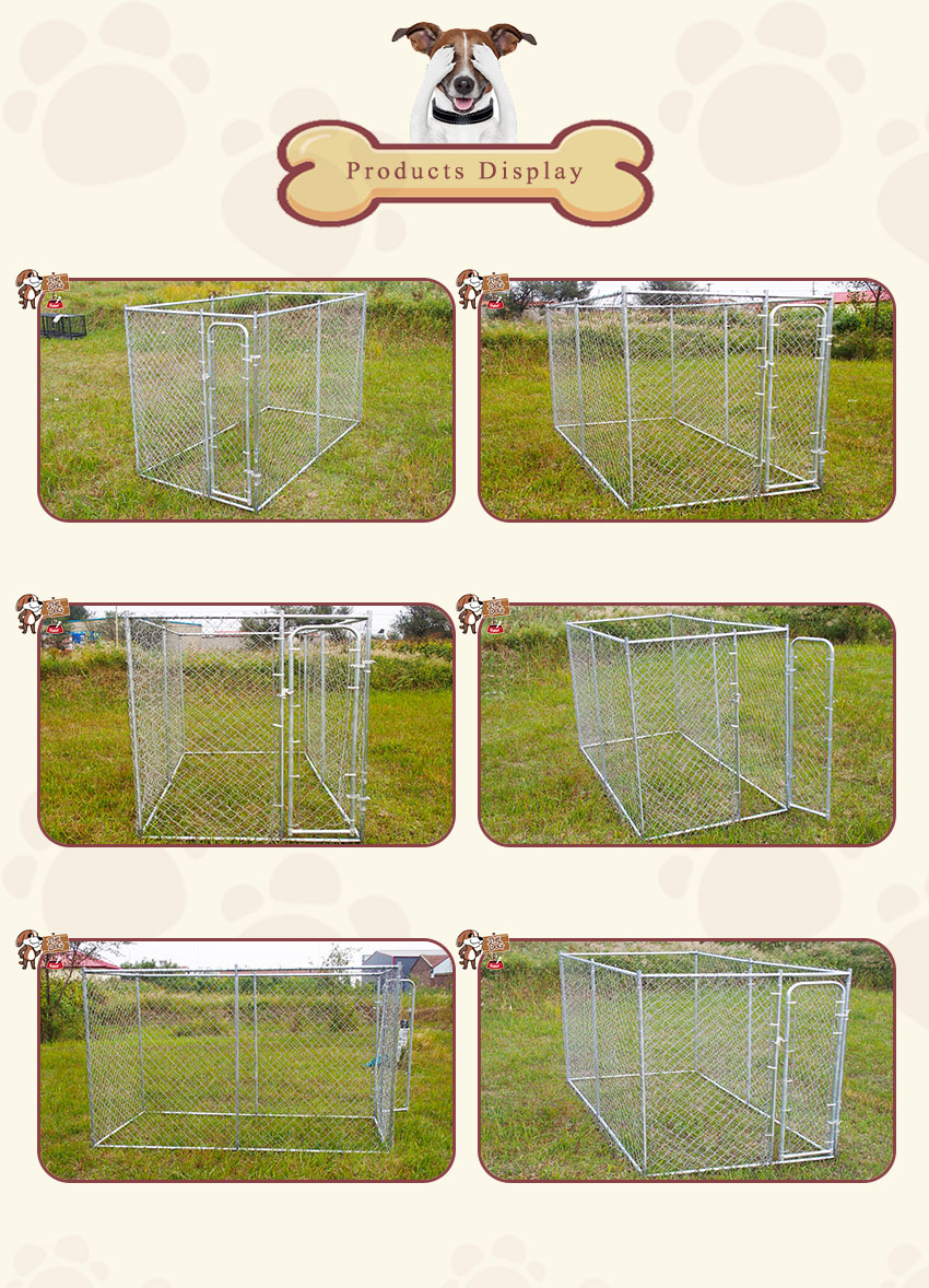 products display-Chain ling dog kennel