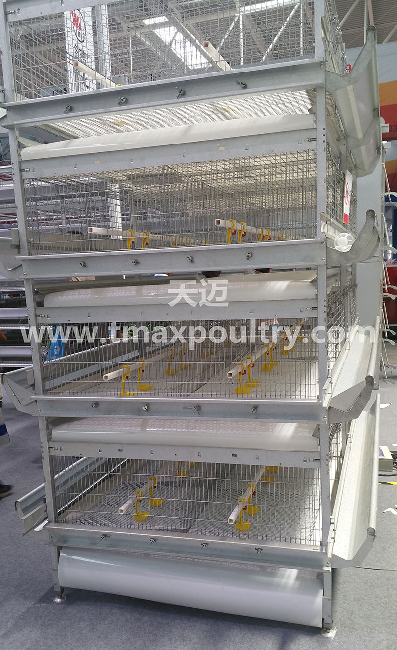 Broiler chicken cages detail