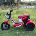 Three Wheel Electric Scooter   Eco-Friendly E-Bikes