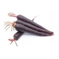 Natural black carrot extract daucus carota extract