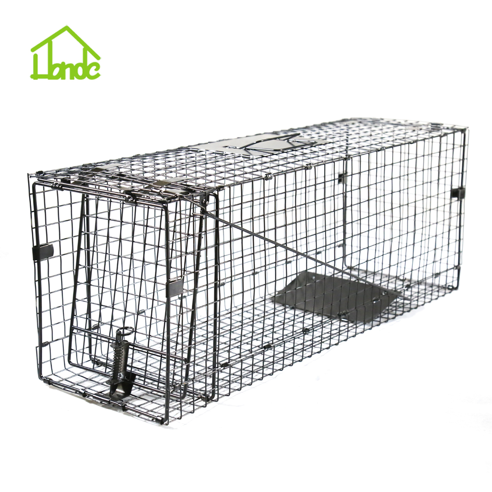 Cat Trap Cage