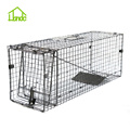 Catch And Release Live Animal Trap For Raccoons