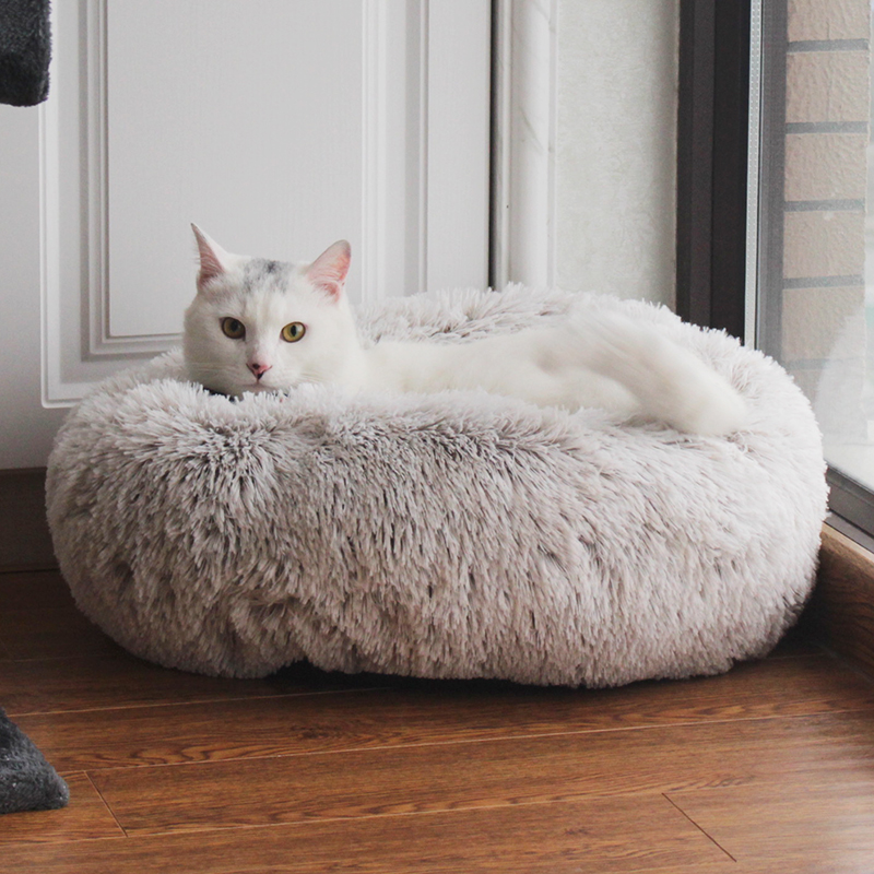 Pet Bed