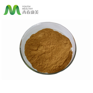 Shiitake -Pilz -Extraktpulver 10-50% Olysaccharid