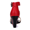 New Collection Fashion High Heels Women Wedge Sandals (HS17-80)