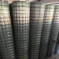 High quality Galvanized Welded Wire Mesh Roll