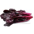 Factory Supply Best quality red spinach extract powder
