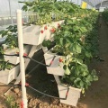 NFT Hydroponic Growing Gully for Greenhouse