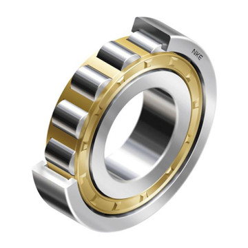 Custom, Standard, Special Cylindrical Roller Bearings