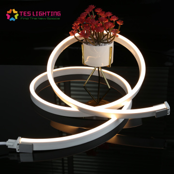 24V Latest outdoor decoration LED Neon IP68 Waterproof