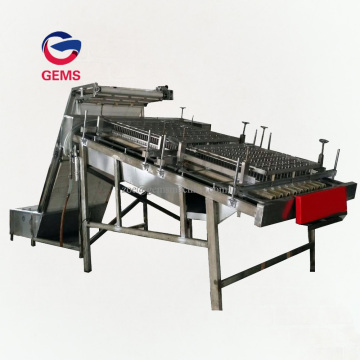 Shrimp Processing Machine Shrimp Peeling Peeler Machines