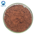 Supply High Quality Grape Seed Extract 95% OPC