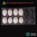 Transparent Thermoforming Plastic Eggs Tray