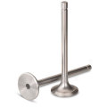 Stainless Steel Engine Parts Engine Valve