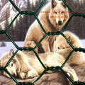 Zool Animal Protection Hexagonal Wire Mesh