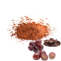 Grape Seed Extract Proanthocyanidins