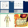 innovador bio-resonador 3d nls analizador de salud corporal cuántico