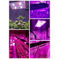 Phlizon 2000w Cob LED Grow Light