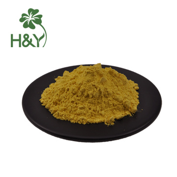 Dry freezing pumpkin powder pumpkin seeds extract powder