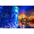 Transparentes Unterwasser -Acrylglas -Tunnel -Aquarium