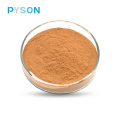 Reishi Mushroom Extract Natural health care products