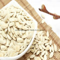 Snow White Pumpkin Seeds 2016 Crop with Best Price